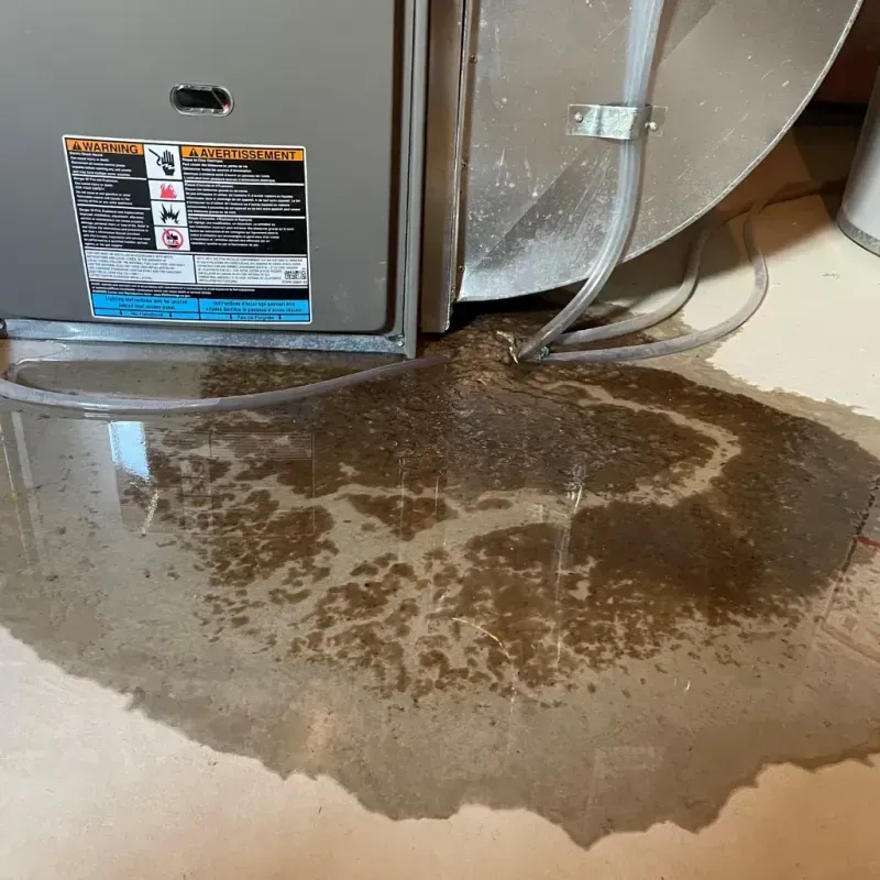 Appliance Leak Cleanup in Fort Bragg, NC